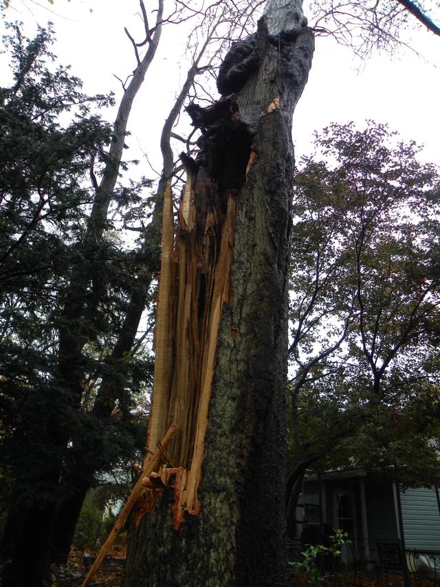 Hurricane Sandy Oct 2012